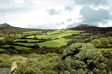 Dartmoor National Park